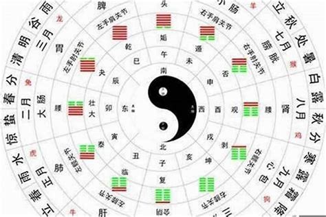 生肖屬馬 五行|属马在金木水火土五行里属什么